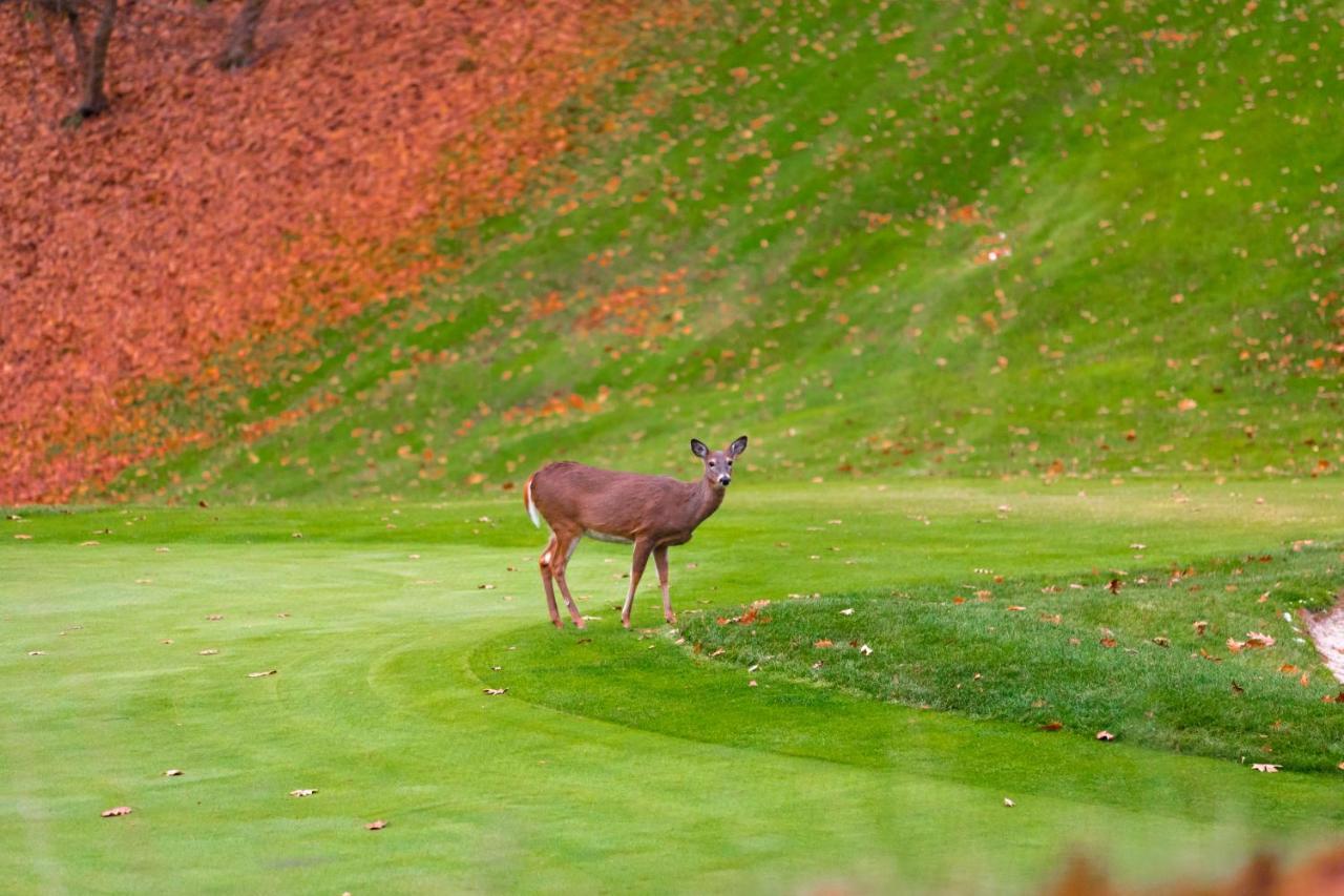 Crown Resorts At Wolf Run DuBois Buitenkant foto
